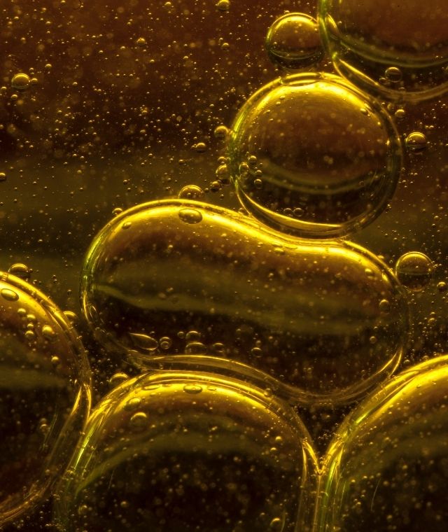 Hakbay Qoil